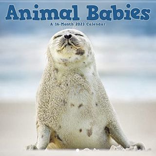 [GET] EPUB KINDLE PDF EBOOK 2023 Animal Babies Mini Wall Calendar by  Trends International 📬