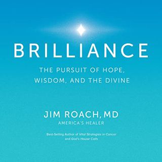 GET EPUB KINDLE PDF EBOOK Brilliance: The Pursuit of Hope, Wisdom, and the Divine by  Jim Roach,Jim