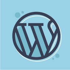 Why You Should Hire a WordPress Development Agency for Your Business