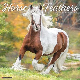 GET EPUB KINDLE PDF EBOOK Horse Feathers 2023 Wall Calendar by  Willow Creek Press 💔