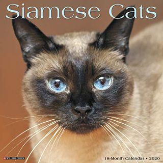 ACCESS EPUB KINDLE PDF EBOOK Siamese Cats 2020 Wall Calendar by  Willow Creek Press 📭