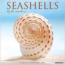 [Get] [EPUB KINDLE PDF EBOOK] Seashells 2023 Wall Calendar by Willow Creek Press 💔