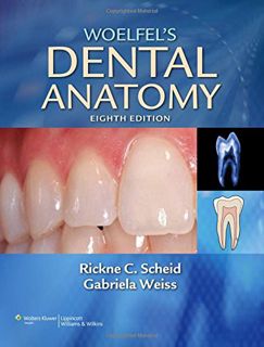 [View] [EPUB KINDLE PDF EBOOK] Woelfel's Dental Anatomy by  Rickne C. Scheid &  Gabriela Weiss 💘