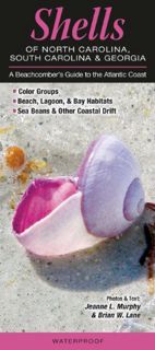 Get [EPUB KINDLE PDF EBOOK] Shells of North Carolina, South Carolina & Georgia: A Beachcomber’s Guid