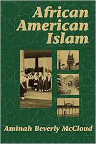[View] EBOOK EPUB KINDLE PDF African American Islam by Aminah Beverly McCloud 📬