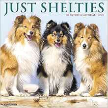 [Read] EPUB KINDLE PDF EBOOK Just Shelties 2020 Wall Calendar (Dog Breed Calendar) by Willow Creek P