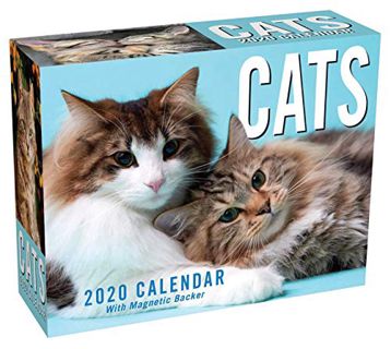 Read [KINDLE PDF EBOOK EPUB] Cats 2020 Mini Day-to-Day Calendar by  Andrews McMeel Publishing 📌