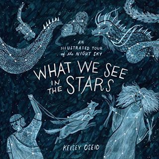 [View] EPUB KINDLE PDF EBOOK What We See in the Stars: An Illustrated Tour of the Night Sky by  Kels