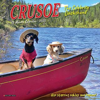 READ [EPUB KINDLE PDF EBOOK] Crusoe the Celebrity Dachshund 2023 Mini Wall Calendar by  Ryan Beauche