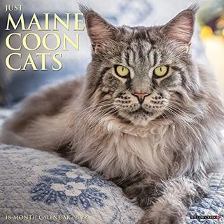 GET PDF EBOOK EPUB KINDLE Just Maine Coon Cats 2022 Wall Calendar (Cat Breed) by  Willow Creek Press