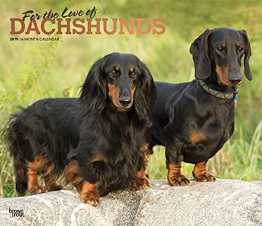Access PDF EBOOK EPUB KINDLE For the Love of Dachshunds 2019 14 x 12 Inch Monthly Deluxe Wall Calend
