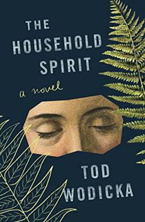 [READ] [EBOOK EPUB KINDLE PDF] The Household Spirit: A Novel by  Tod Wodicka 🖌️