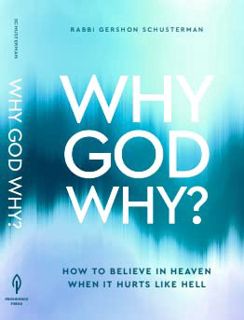 [READ] KINDLE PDF EBOOK EPUB "Why God Why? How to Believe In Heaven When It Hurts Like Hell" by unkn