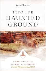 Read EBOOK EPUB KINDLE PDF Into the Haunted Ground: A Guide to Cutting the Root of Suffering by Anam