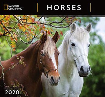 VIEW [EBOOK EPUB KINDLE PDF] National Geographic Horses 2020 Wall Calendar by  Zebra Publishing 💌