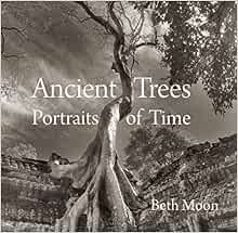 VIEW PDF EBOOK EPUB KINDLE Ancient Trees: Portraits of Time by Beth Moon,Todd Forrest,Steven Brown �