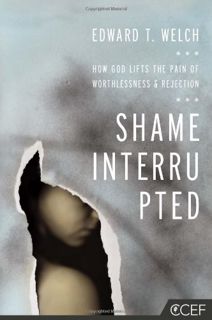 Get KINDLE PDF EBOOK EPUB Shame Interrupted: How God Lifts the Pain of Worthlessness and Rejection b