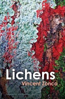 READ KINDLE PDF EBOOK EPUB Lichens: Toward a Minimal Resistance by  Vincent Zonca,Jody Gladding,Eman