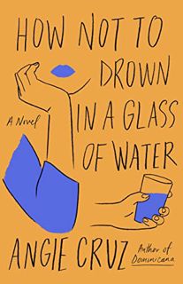[VIEW] EBOOK EPUB KINDLE PDF How Not to Drown in a Glass of Water: A Novel by  Angie Cruz 📩