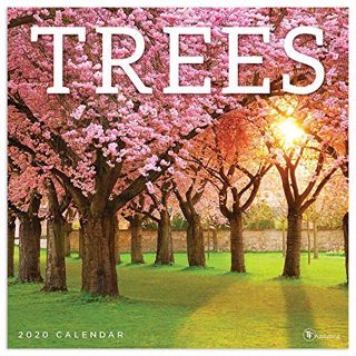 READ [PDF EBOOK EPUB KINDLE] 2020 Trees Wall Calendar by  TF Publishing &  TF Publishing 📒