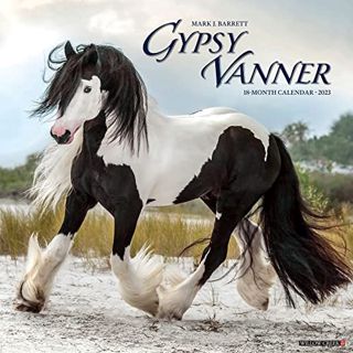 READ KINDLE PDF EBOOK EPUB Gypsy Vanner Horse 2023 Wall Calendar by  Willow Creek Press 📂