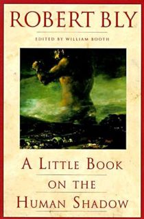 Read EPUB KINDLE PDF EBOOK A Little Book on the Human Shadow by  Robert Bly &  William Booth 📙