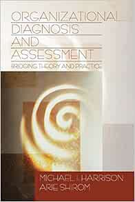 [ACCESS] [EBOOK EPUB KINDLE PDF] Organizational Diagnosis and Assessment: Bridging Theory and Practi