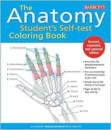 Read KINDLE PDF EBOOK EPUB Anatomy Student's Self-Test Coloring Book (Barron's Test Prep) by Ken Ash