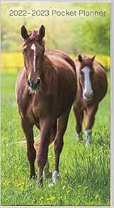View PDF EBOOK EPUB KINDLE 2022-2023 Horses Pocket Planner by Trends International 📩