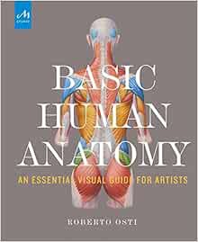 [ACCESS] KINDLE PDF EBOOK EPUB Basic Human Anatomy: An Essential Visual Guide for Artists by Roberto