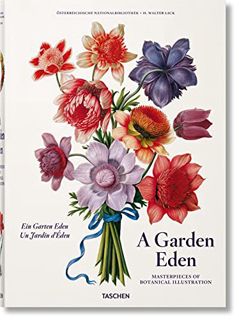 Read PDF EBOOK EPUB KINDLE A Garden Eden. Masterpieces of Botanical Illustration by  H. Walter Lack