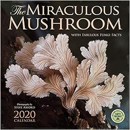 [VIEW] EBOOK EPUB KINDLE PDF The Miraculous Mushroom 2020 Wall Calendar: With Fabulous Fungi Facts b