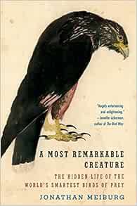 [View] [KINDLE PDF EBOOK EPUB] A Most Remarkable Creature: The Hidden Life of the World's Smartest B
