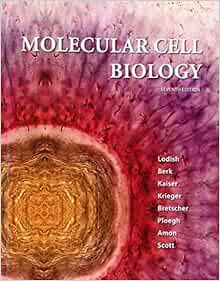 ACCESS EBOOK EPUB KINDLE PDF Molecular Cell Biology by Harvey Lodish,Arnold Berk,Chris A. Kaiser,Mon