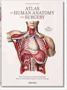 [VIEW] KINDLE PDF EBOOK EPUB Bourgery. Atlas of Human Anatomy and Surgery by Jean-Marie Le Minor,Hen