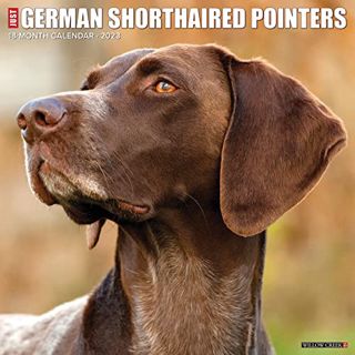 READ [EBOOK EPUB KINDLE PDF] Just German Shorthaired Pointers 2023 Wall Calendar by  Willow Creek Pr