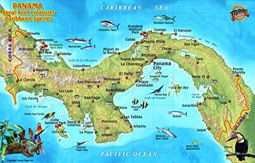 Get PDF EBOOK EPUB KINDLE Panama Caribbean Coral Reef Creatures Guide Franko Maps Laminated Fish Car