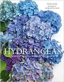 Read KINDLE PDF EBOOK EPUB Hydrangeas: Beautiful Varieties for Home and Garden by Naomi Slade,Georgi