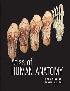 Access EPUB KINDLE PDF EBOOK Atlas of Human Anatomy by  Mark Nielsen &  Shawn D. Miller 🗸
