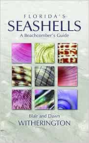 VIEW [KINDLE PDF EBOOK EPUB] Florida's Seashells: A Beachcomber's Guide by Blair Witherington 🖊️