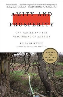 READ [EPUB KINDLE PDF EBOOK] Amity and Prosperity: One Family and the Fracturing of America by  Eliz