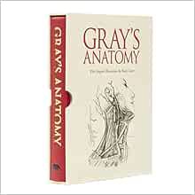 [ACCESS] [EPUB KINDLE PDF EBOOK] Gray's Anatomy: Slip-case Edition by Henry Gray 📋