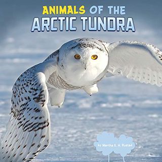 Access [EBOOK EPUB KINDLE PDF] Animals of the Arctic Tundra (Wild Biomes) by  Rustad &  Martha E. H.