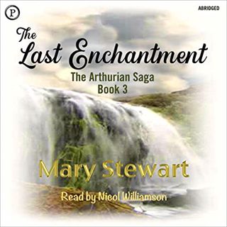 READ PDF EBOOK EPUB KINDLE The Last Enchantment: The Arthurian Saga by  Mary Stewart,Nicol Williamso