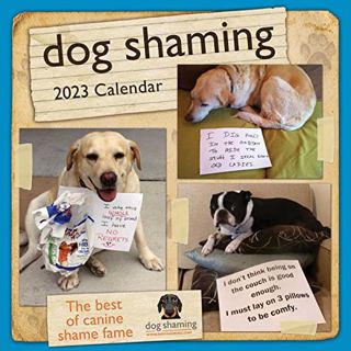 [Get] [KINDLE PDF EBOOK EPUB] Dog Shaming 2023 Wall Calendar by  Pascale Lemire &  dogshaming.com 📮