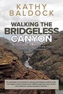 Get [EPUB KINDLE PDF EBOOK] Walking the Bridgeless Canyon: Repairing the Breach Between the Church a