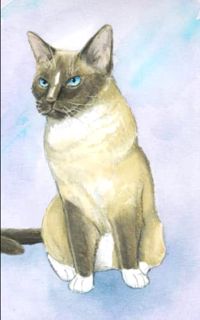 [Access] [EBOOK EPUB KINDLE PDF] Journal: Snowshoe Siamese Cat Journal by  Jancy B Journals 📍