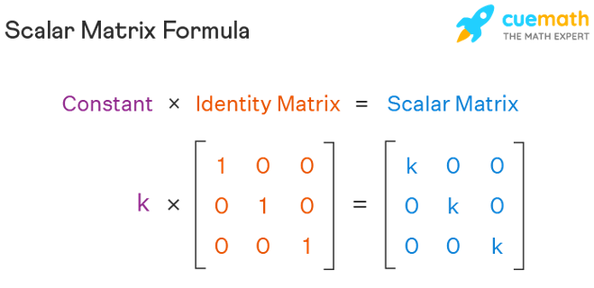 Exploring the Identity Matrix