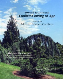 GET EBOOK EPUB KINDLE PDF Dwarf & Unusual Conifers Coming of Age: A Guide to Mature Garden Conifers