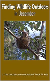 GET [EPUB KINDLE PDF EBOOK] Finding Wildlife Outdoors in December: Wandering on trails to find amazi